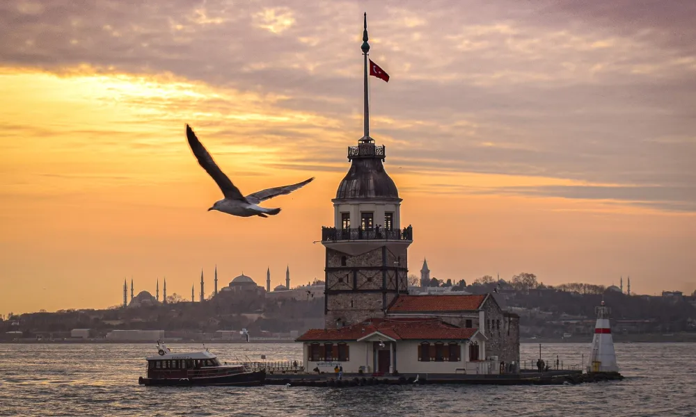 Maiden's Tower and seagull